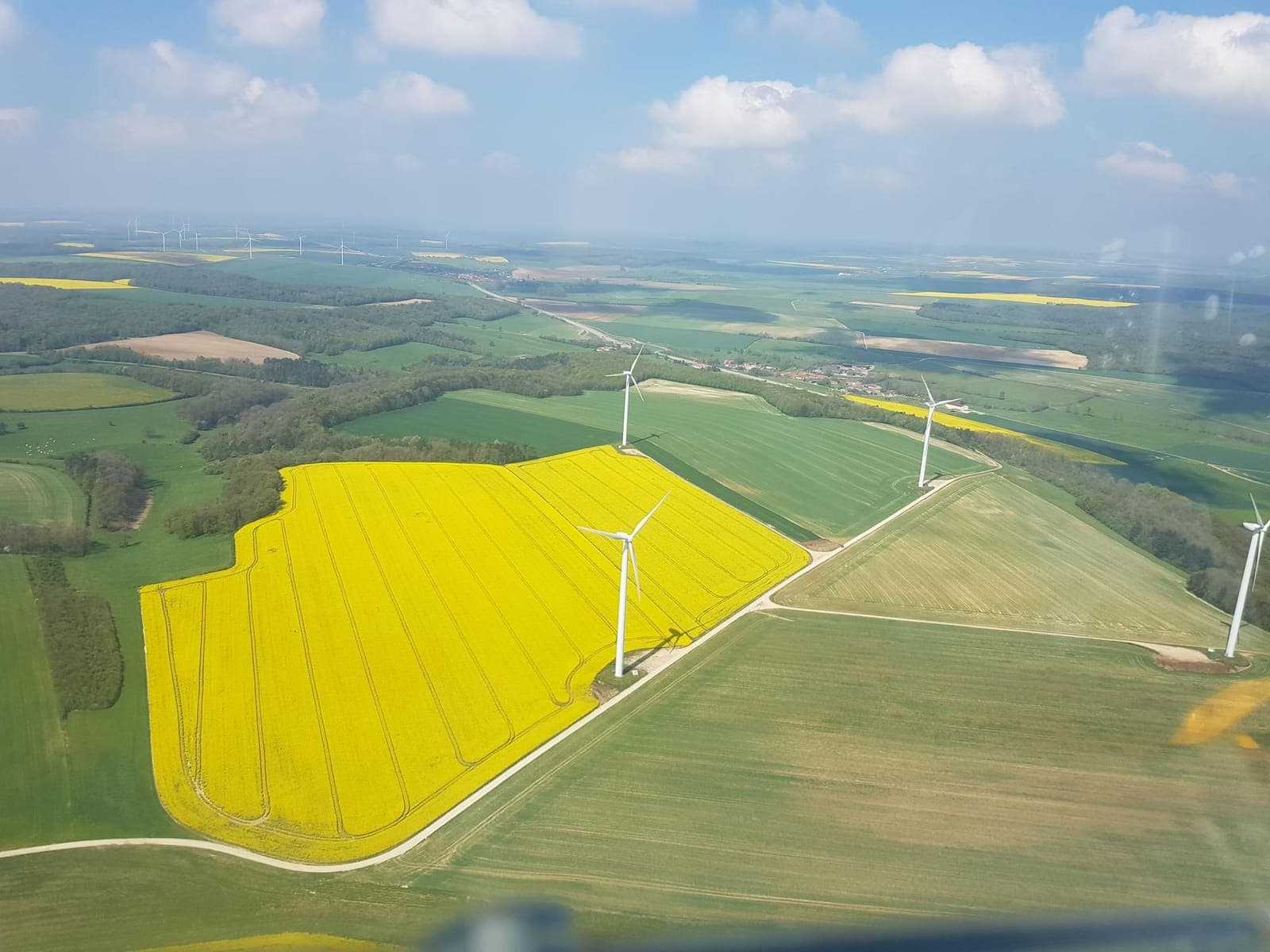 Gelbe Rapsfelder und Windräder in Nordfrankreich aus dem Segelflugzeug